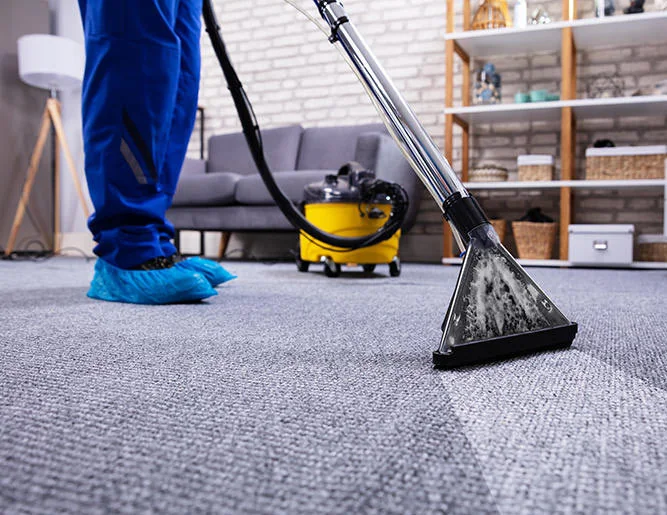 carpet cleaning