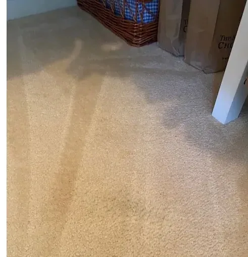 Light-coloured bedroom carpet after professional steam cleaning, free of spot marks