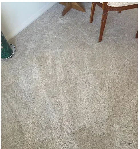 Living-room carpet looking even and bright after hot water extraction