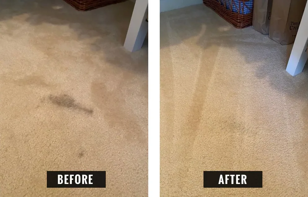 Carpet before and after spot treatment, showing marks removed from a light bedroom carpet