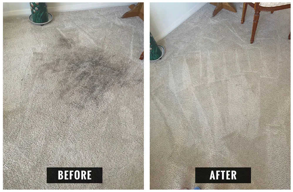 Carpet before and after hot water extraction, showing heavy soiling removed from a living-room carpet