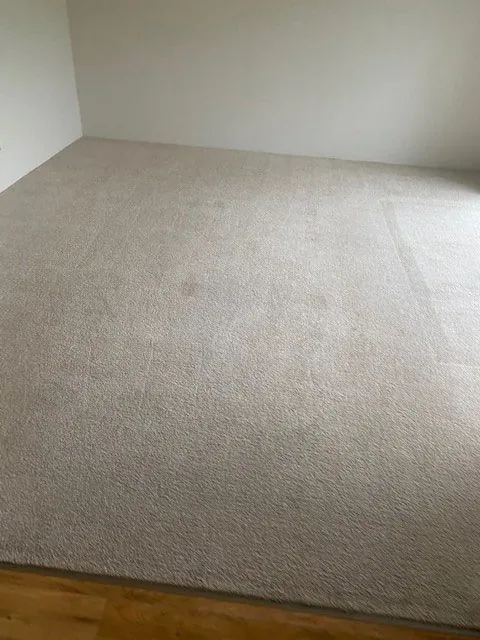 Freshly cleaned light-coloured carpet in an empty bedroom after professional carpet cleaning